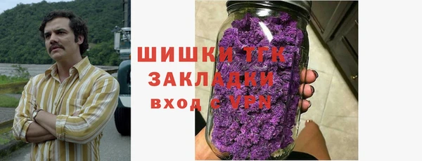 mdpv Богородицк