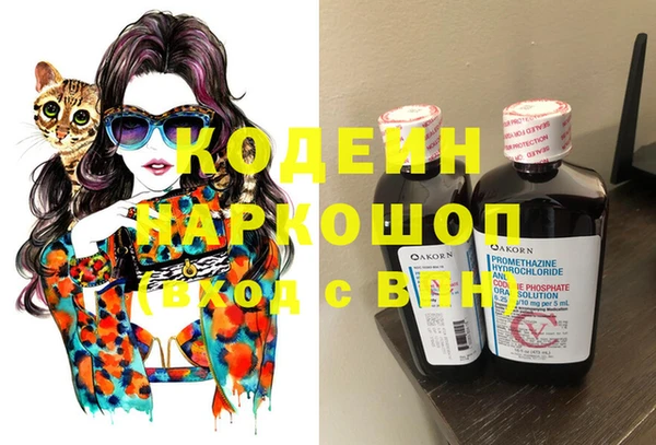 стаф Бородино