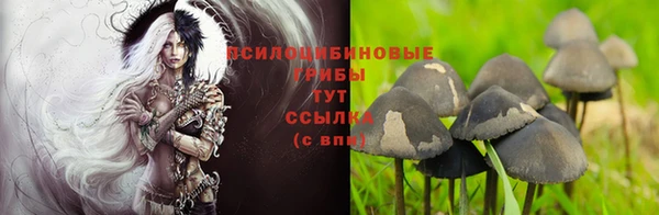 mdpv Богородицк