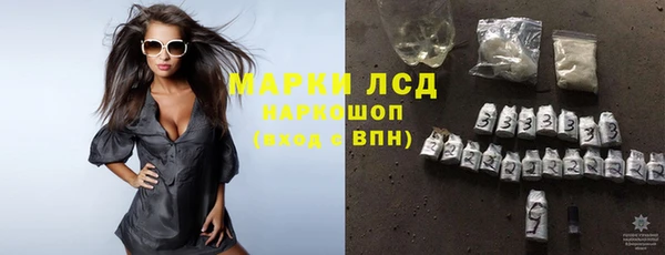 мдпв Богданович