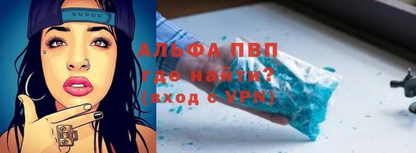 индика Бронницы