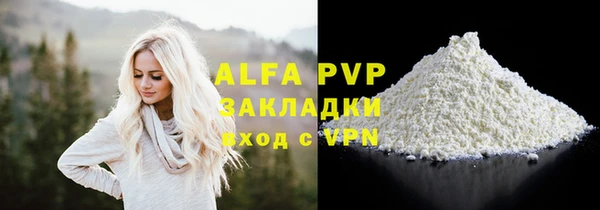 индика Бронницы