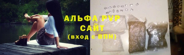 индика Бронницы