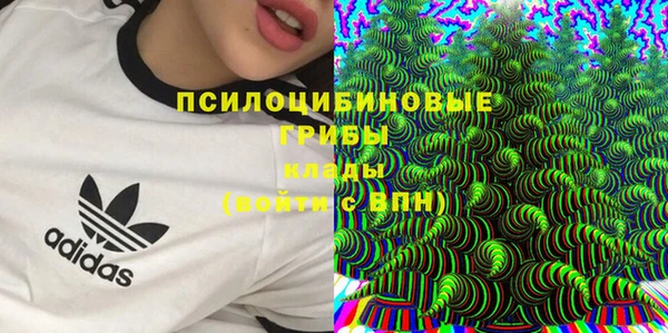 альфа пвп Богородск