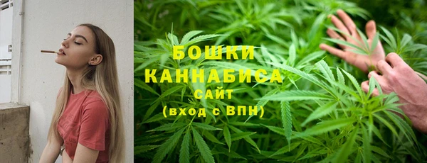 mdpv Богородицк