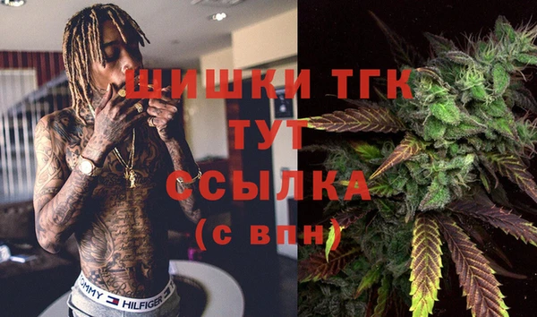 индика Бронницы